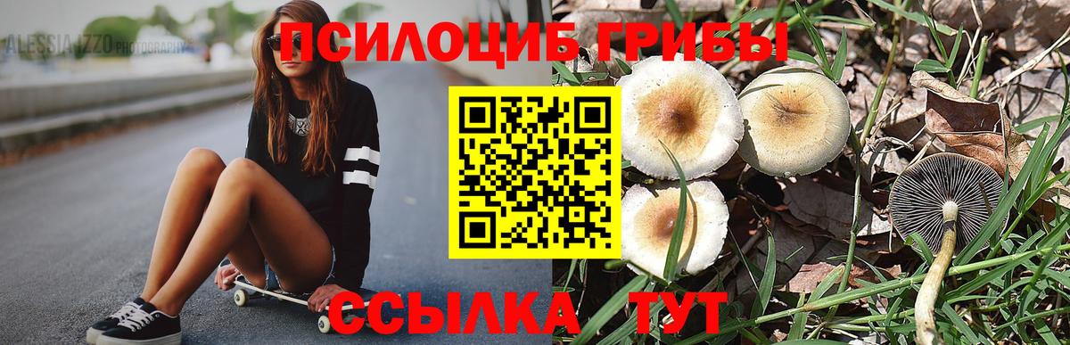 Галлюциногенные грибы Psilocybine cubensis  Вход с VPN  Петропавловск-Камчатский 